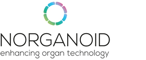 norganoid_logo